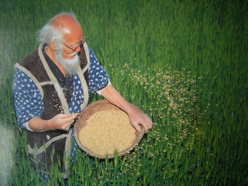 Le basi dell&rsquo;agricoltura &ldquo;del non fare&rdquo; di Fukuoka