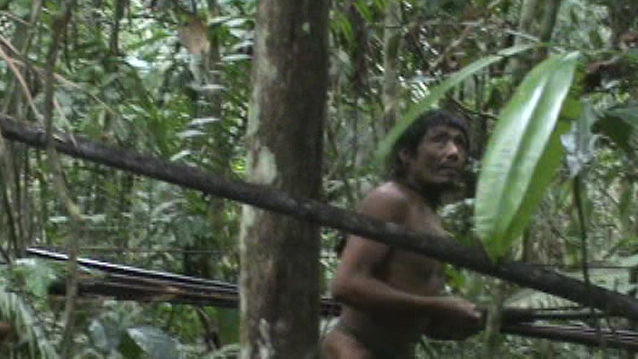Survival: &laquo;La terra dei Kawahiva va protetta&raquo;