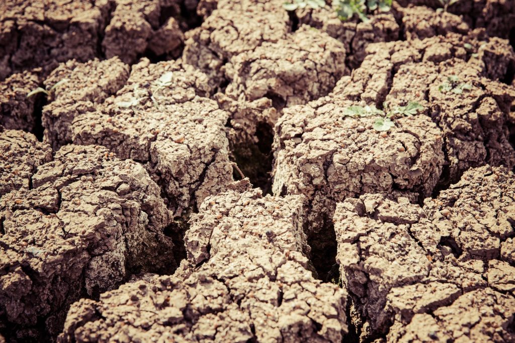 Legambiente: &laquo;Crisi idrica &egrave; grave segnale d’allarme&raquo;