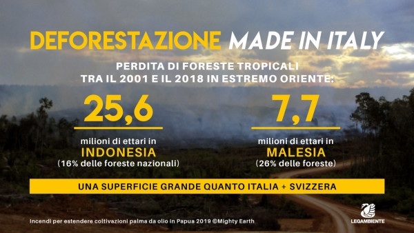 Legambiente: &laquo;Olio di palma, stop a deforestazione Made in Italy&raquo;