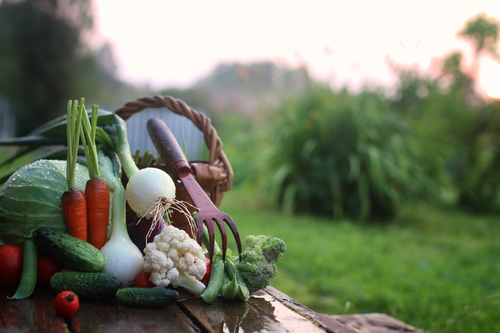 Legge sull&rsquo;agricoltura biologica: siamo a buon punto!