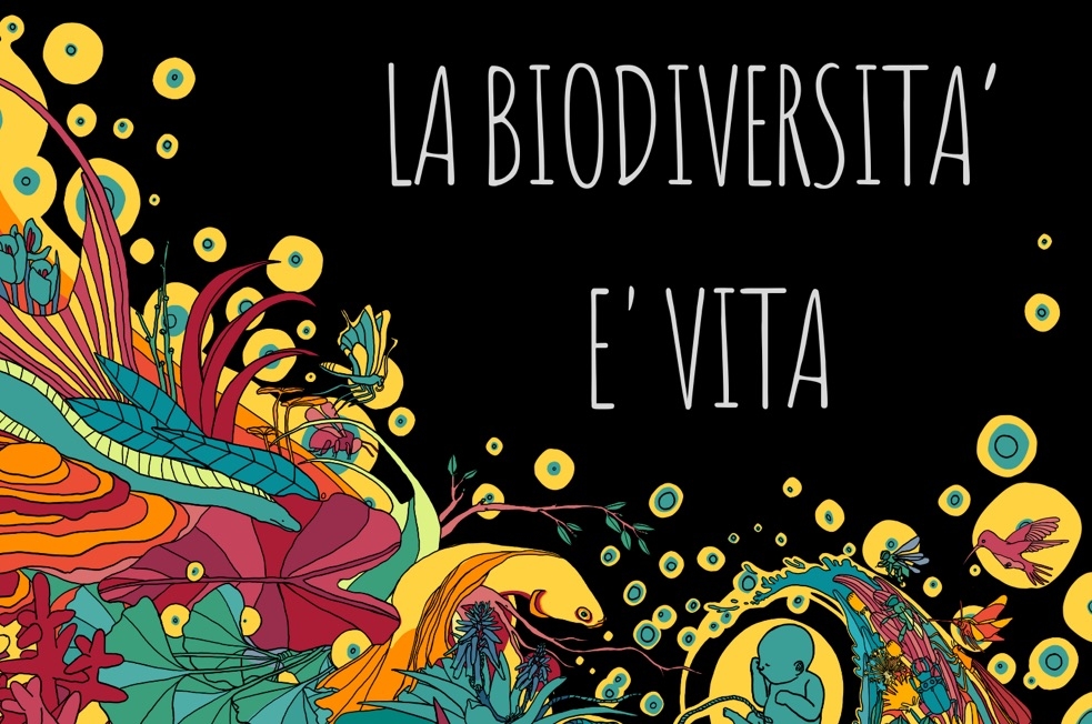 Navdanya: &laquo;La biodiversit&agrave; &egrave; vita&raquo;/1