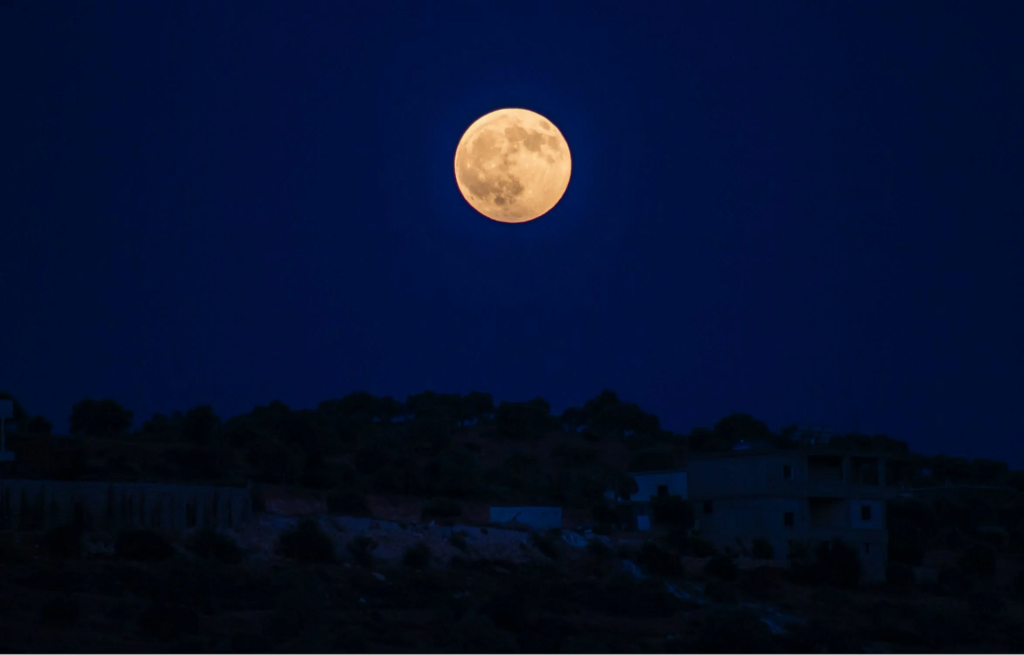 Ogni cosa (non) &egrave; illuminata