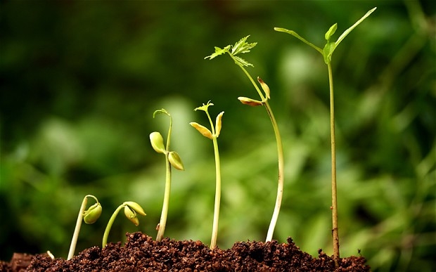Oltre il mito della crescita verde e la crisi dell&rsquo;immaginazione