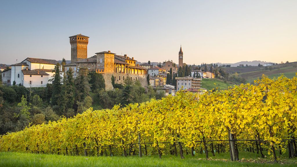 Paolo Ermani: &laquo;L’Italia ritorni alla sua vocazione agricola e artigianale&raquo;