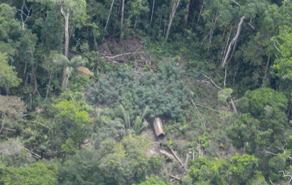 Per&ugrave;, compagnia petrolifera si oppone alla riserva Napo-Tigre