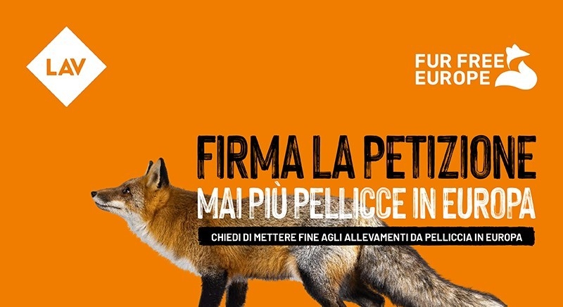 Petizione della Lav: “Mai pi&ugrave; pellicce in Europa”