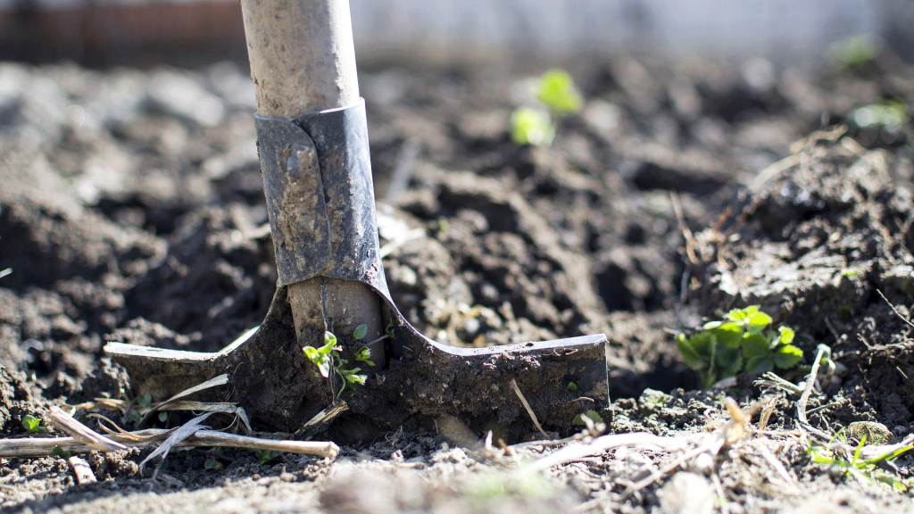 Quando l’agricoltura biodinamica &egrave; al femminile