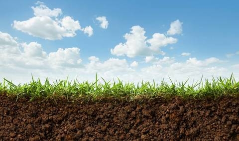 Microrganismi effettivi: i benefici in agricoltura in dieci punti