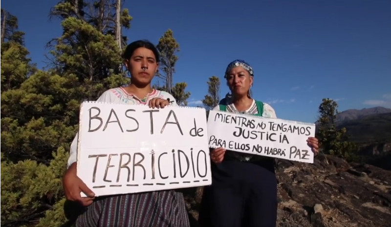 “Stop al Terricidio!”: la marcia di protesta in Argentina del Movimiento de Mujeres Ind&iacute;genas por el Buen Vivir