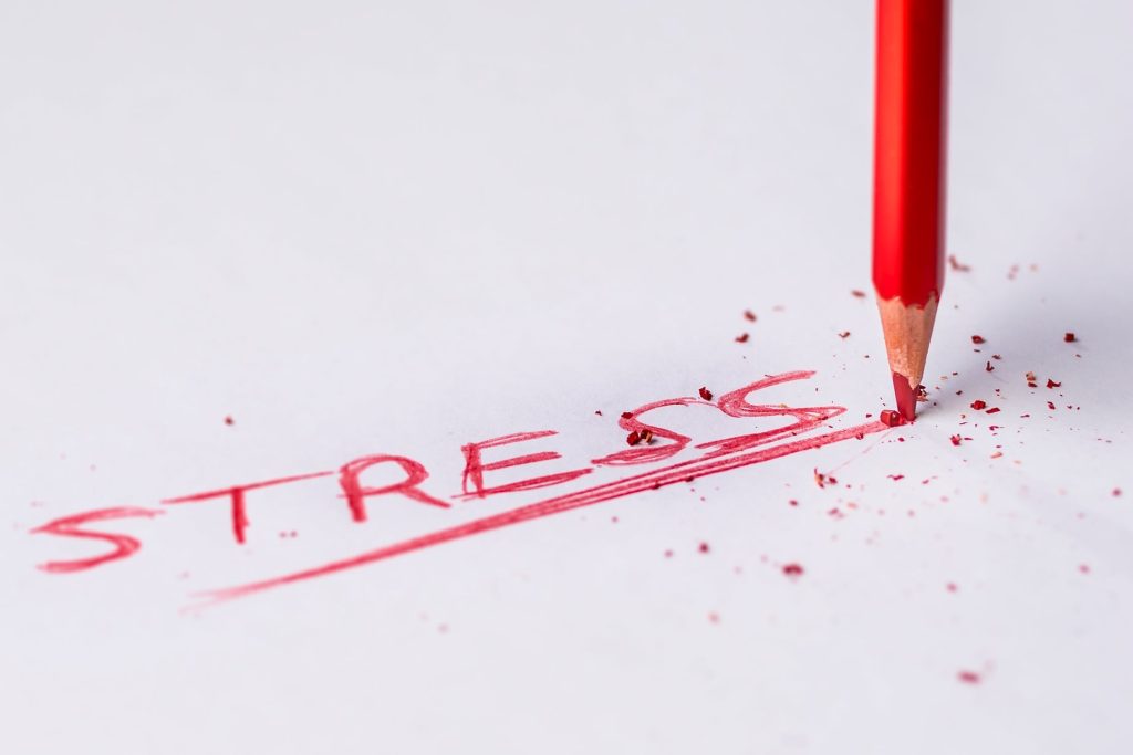 &laquo;Stress e salute: strategie quotidiane per vivere in armonia con noi stessi&raquo;