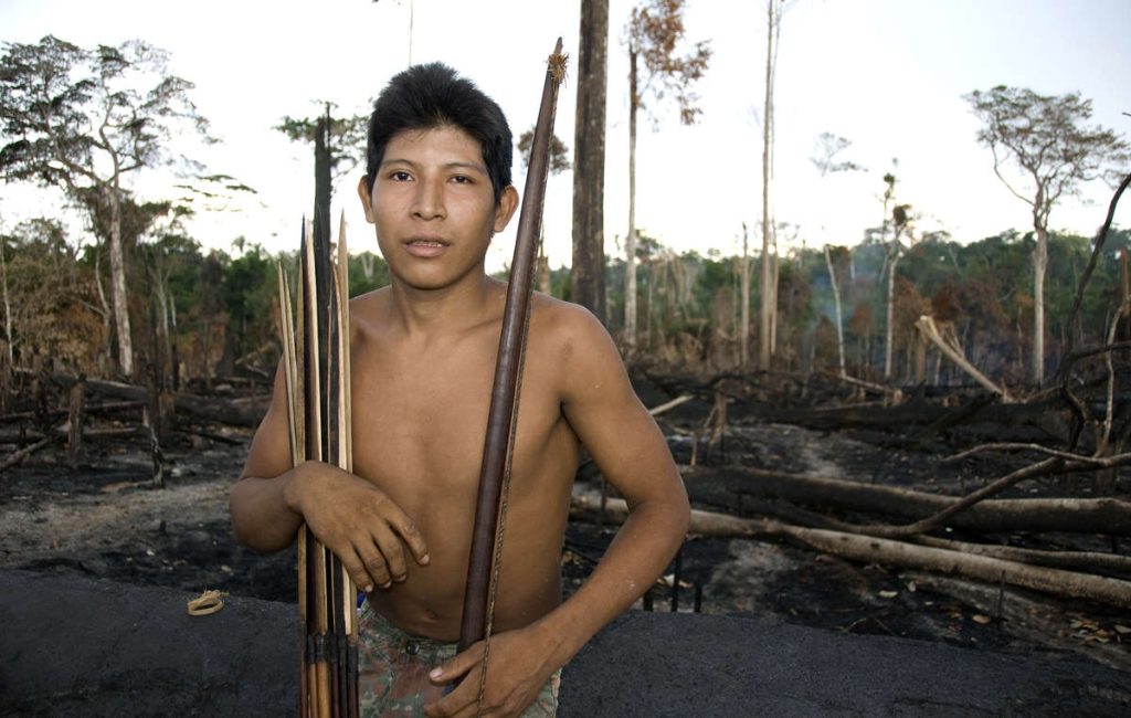 Survival: &laquo;Amazzonia, continua il rogo delle foreste e il saccheggio delle terre indigene&raquo;