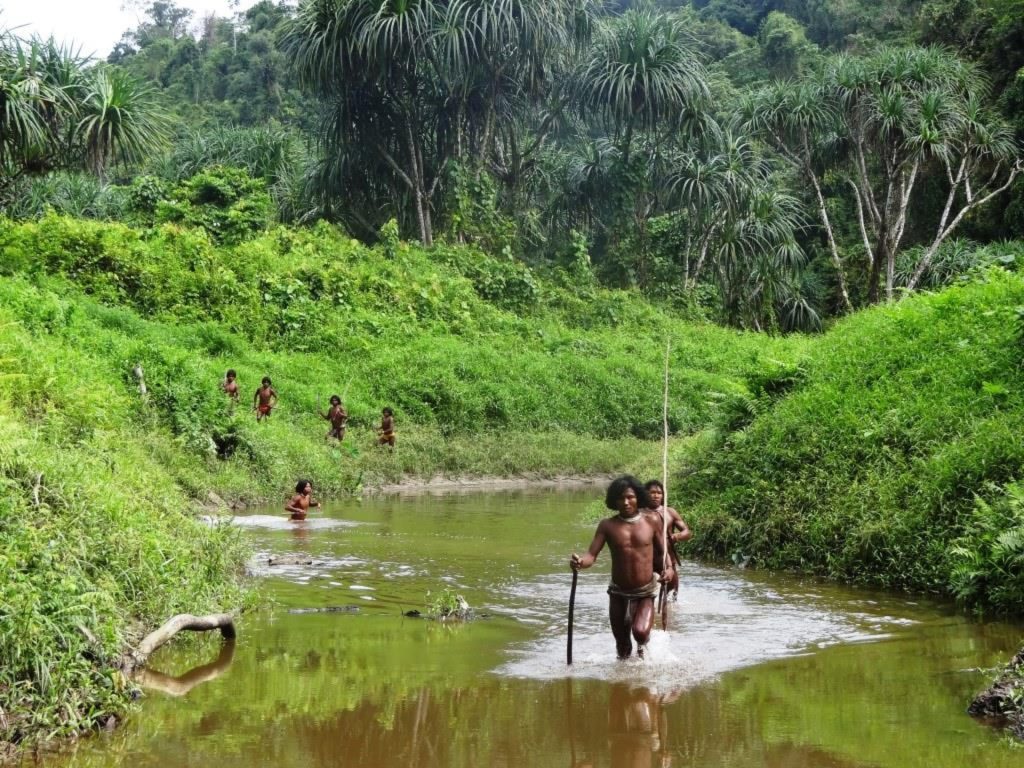 Survival: &laquo;In India gli Shompen rischiano l’annientamento&raquo;