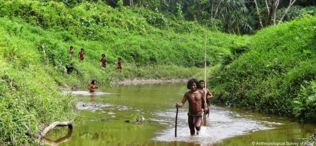 Survival: &laquo;India, esperti denunciano il rischio di genocidio per gli Shompen incontattati&raquo;
