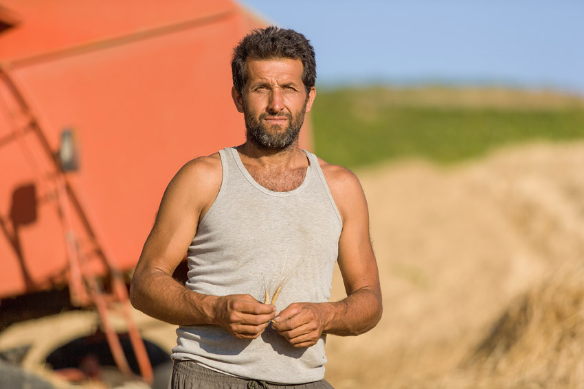 Timil&igrave;a: un grano di cui andare fieri