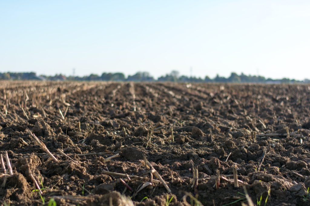 Tu che terreno hai? Per fare buona agricoltura &egrave; bene partire da qui