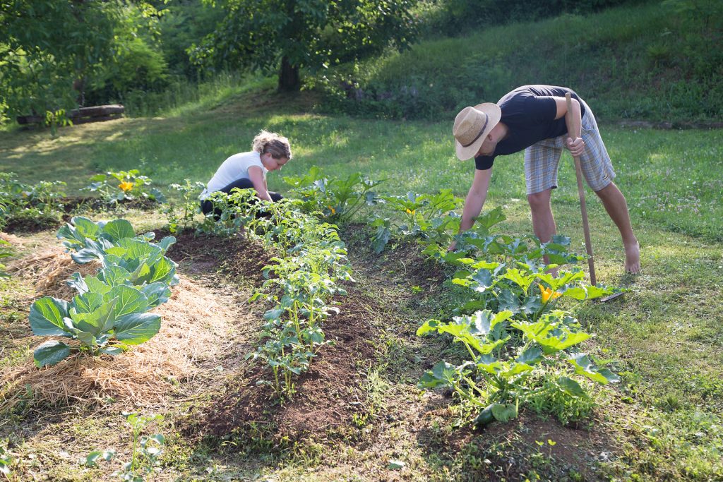 Una legge nazionale per riconoscere l&rsquo;agricoltura contadina