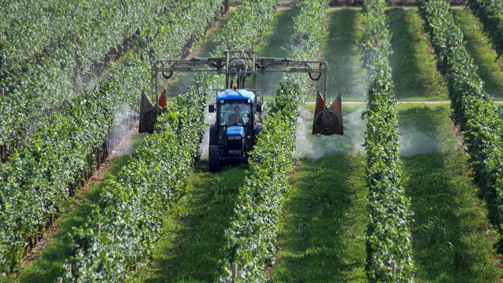 WWF: &laquo;Ogni anno nel mondo 385 milioni di avvelenamenti e 258mila decessi causati da pesticidi&raquo;