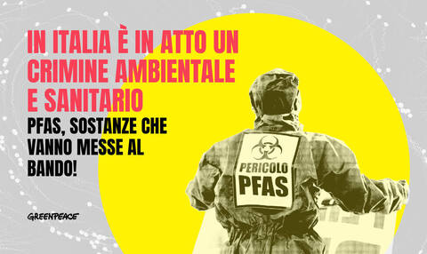 Greenpeace: &laquo;Valori oltre i limiti in residenti dell’Alessandrino, si estendano i biomonitoraggi&raquo;