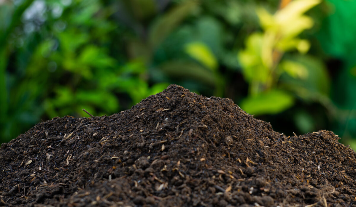 A cosa serve il compost? Ecco quando &egrave; utile