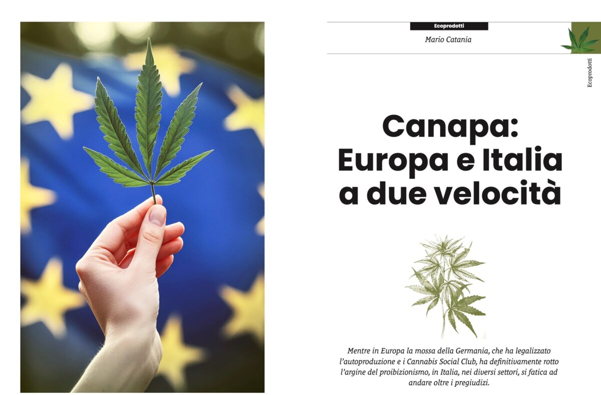 Canapa: Europa e Italia a due velocit&agrave;