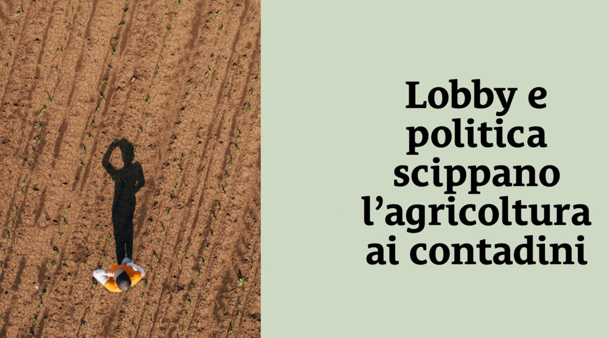 Coalizione CambiamoAgricoltura: &laquo;Politica agricola UE ad alto impatto ambientale&raquo;