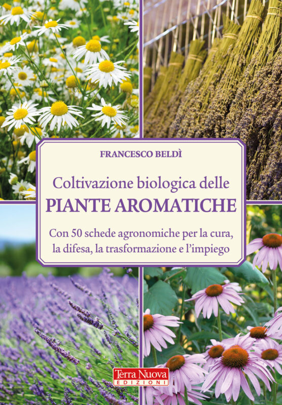Coltivazione biologica delle piante aromatiche: il manuale