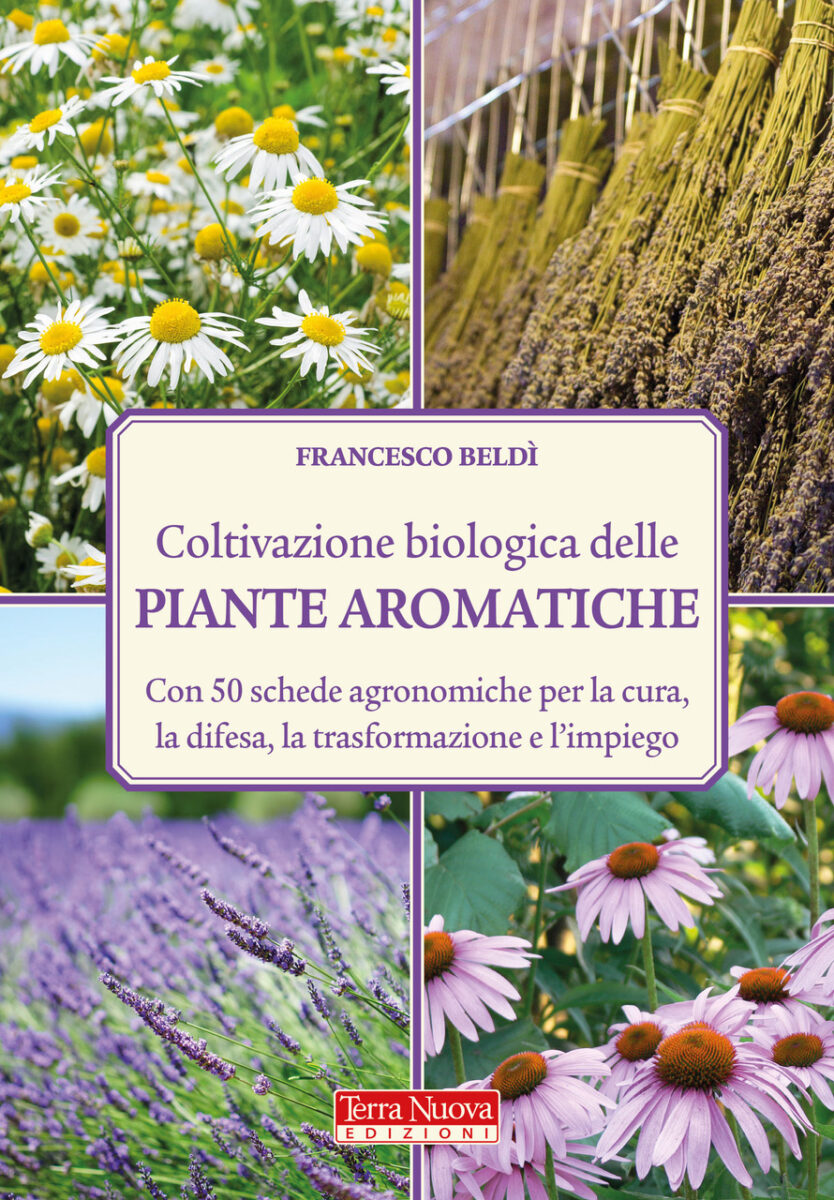 Coltivazione biologica delle piante aromatiche: il manuale