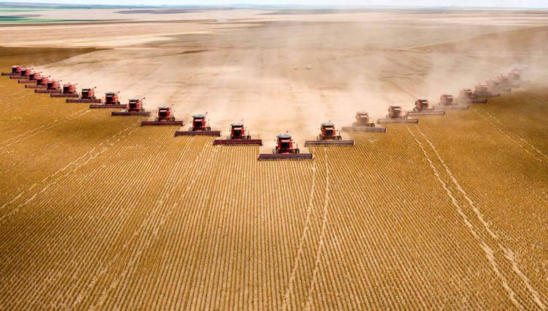 agricoltura
