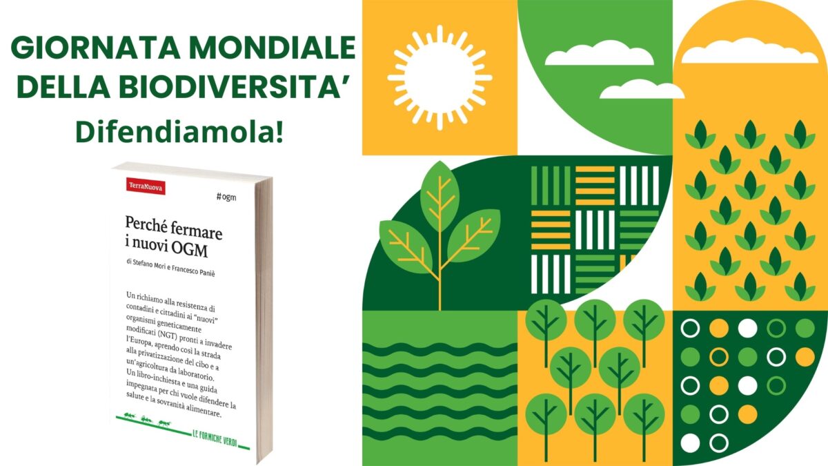 Giornata mondiale della biodiversit&agrave; (sotto brevetto?)