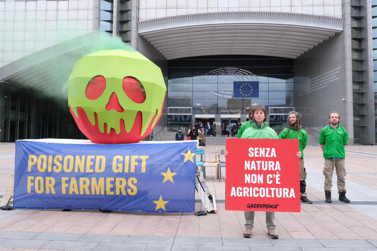 Revisione Pac, Greenpeace: &laquo;L&rsquo;attacco alle norme ambientali europee &egrave; un regalo avvelenato per gli agricoltori&raquo;