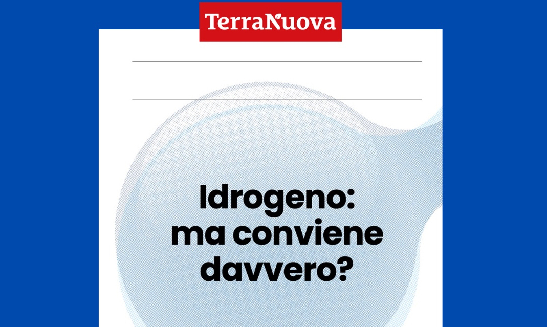 Roy Virgilio: &laquo;Idrogeno pulito? Vediamoci chiaro&raquo;