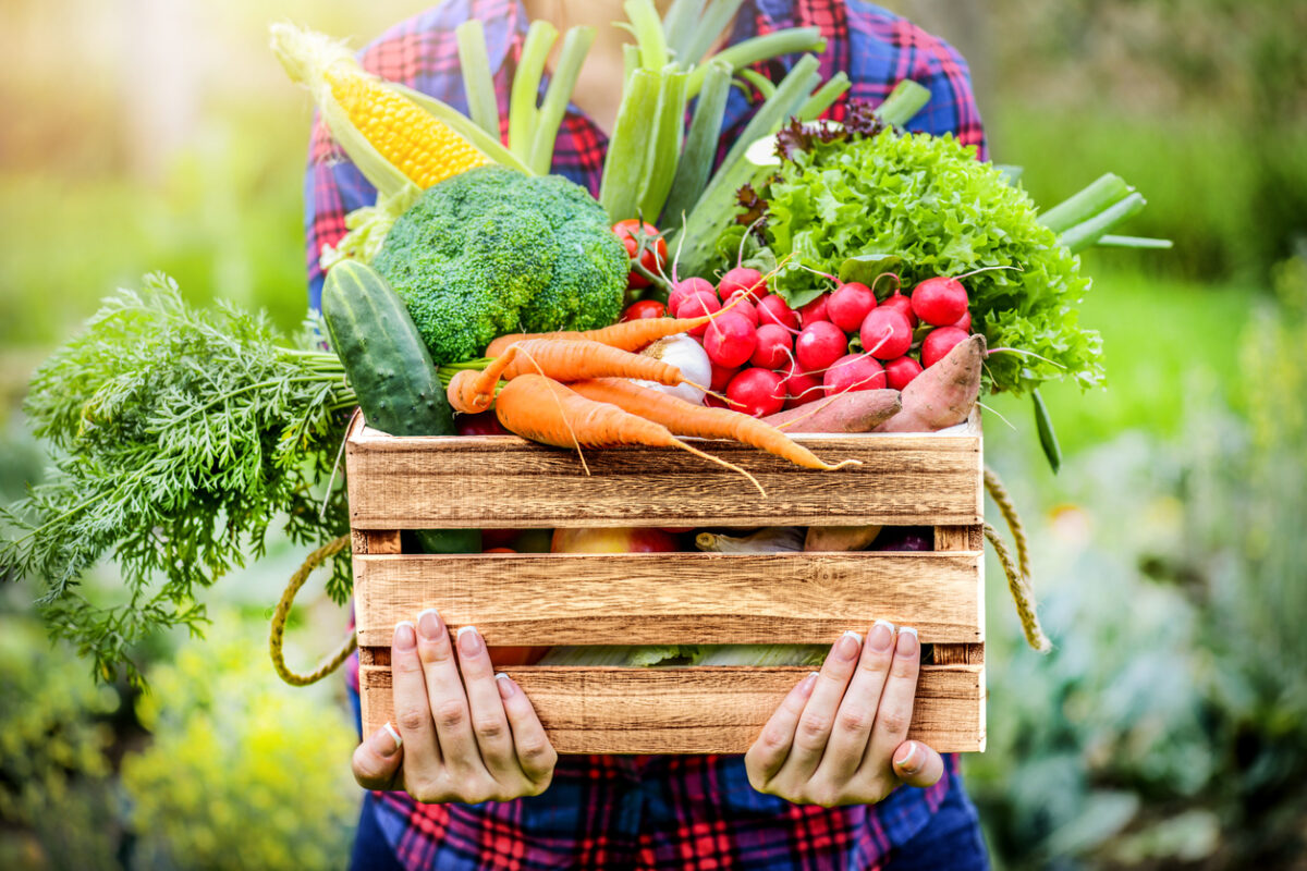 FederBio: &laquo;Consumi bio +9,2%, ora una svolta per chi produce valore&raquo;
