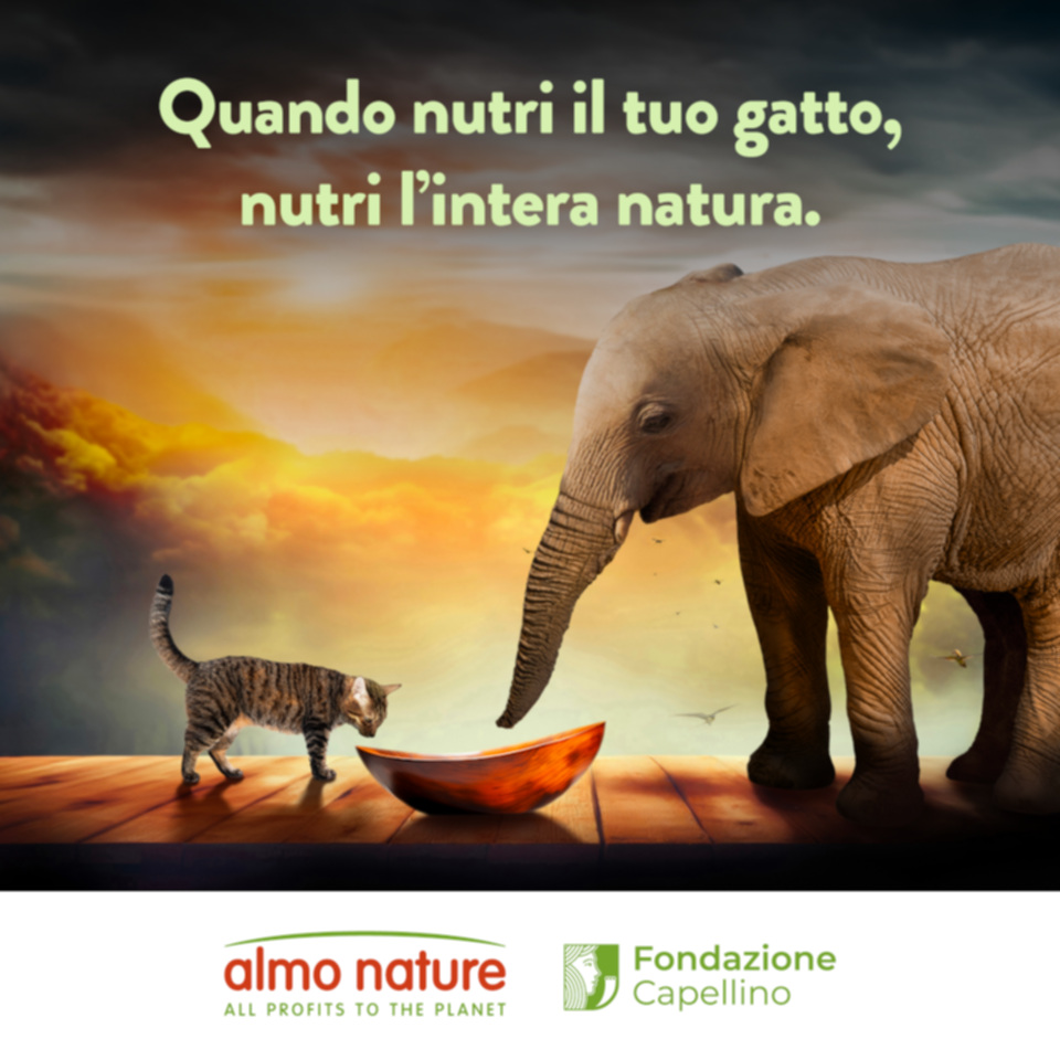 La Reintegration Economy &egrave; l&rsquo;attivismo di Almo Nature per il pianeta.