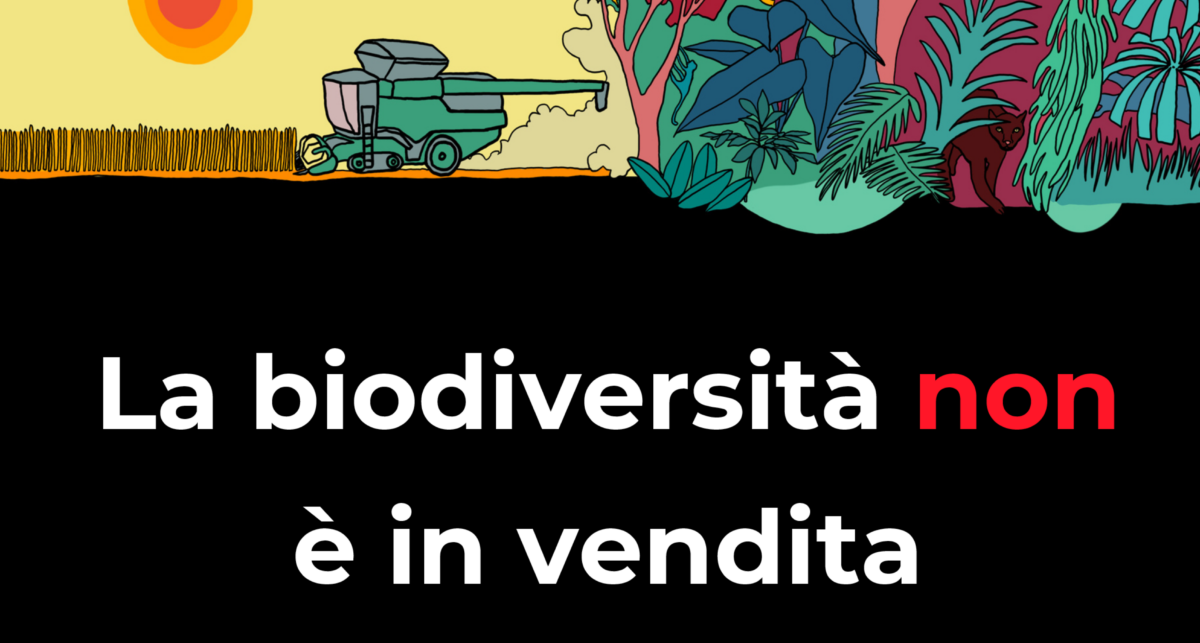 Navdanya: &laquo;No alla finanziarizzazione della Natura&raquo;