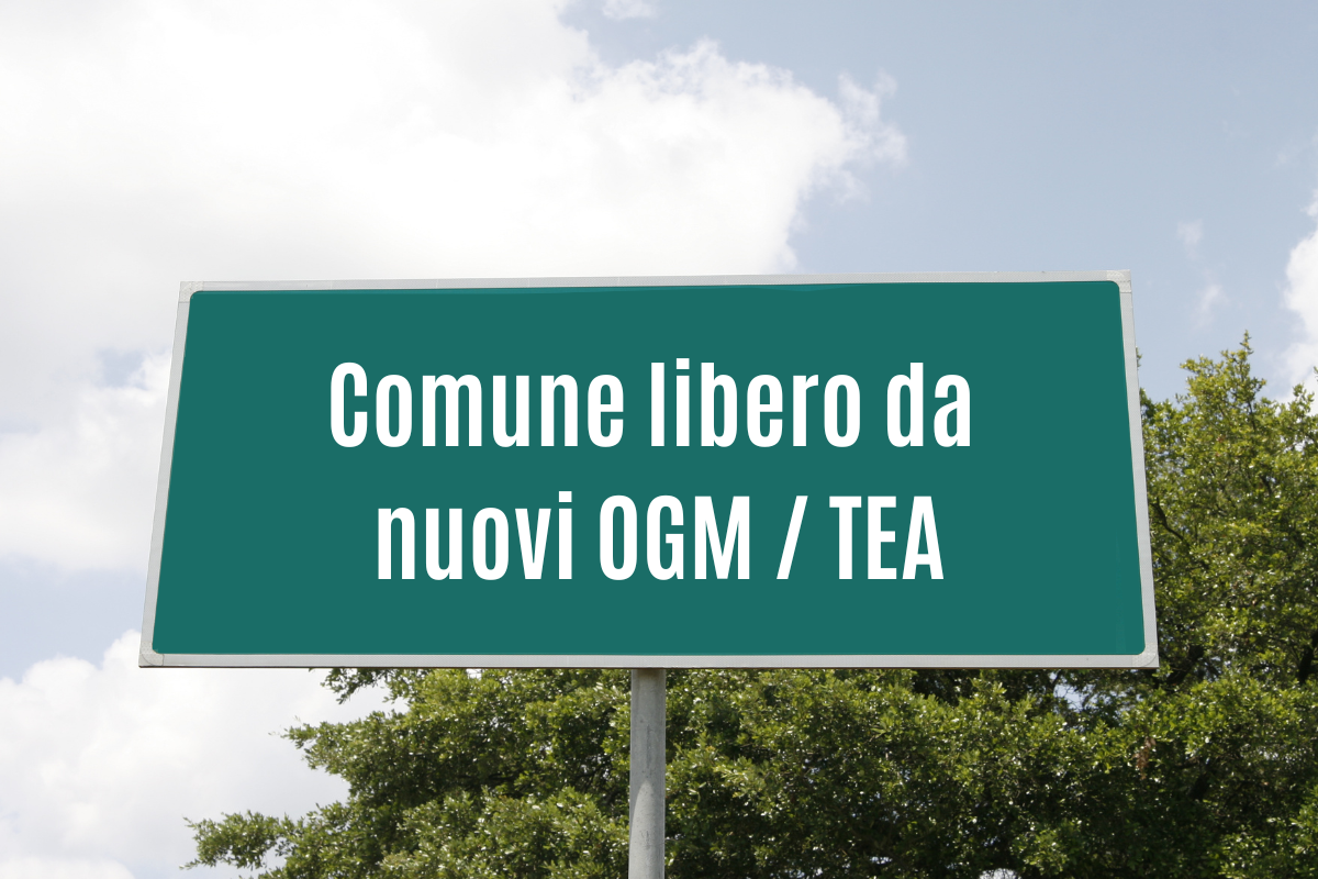 Crocevia: &laquo;Rendiamo Comuni e Regioni liberi dai nuovi OGM&raquo;