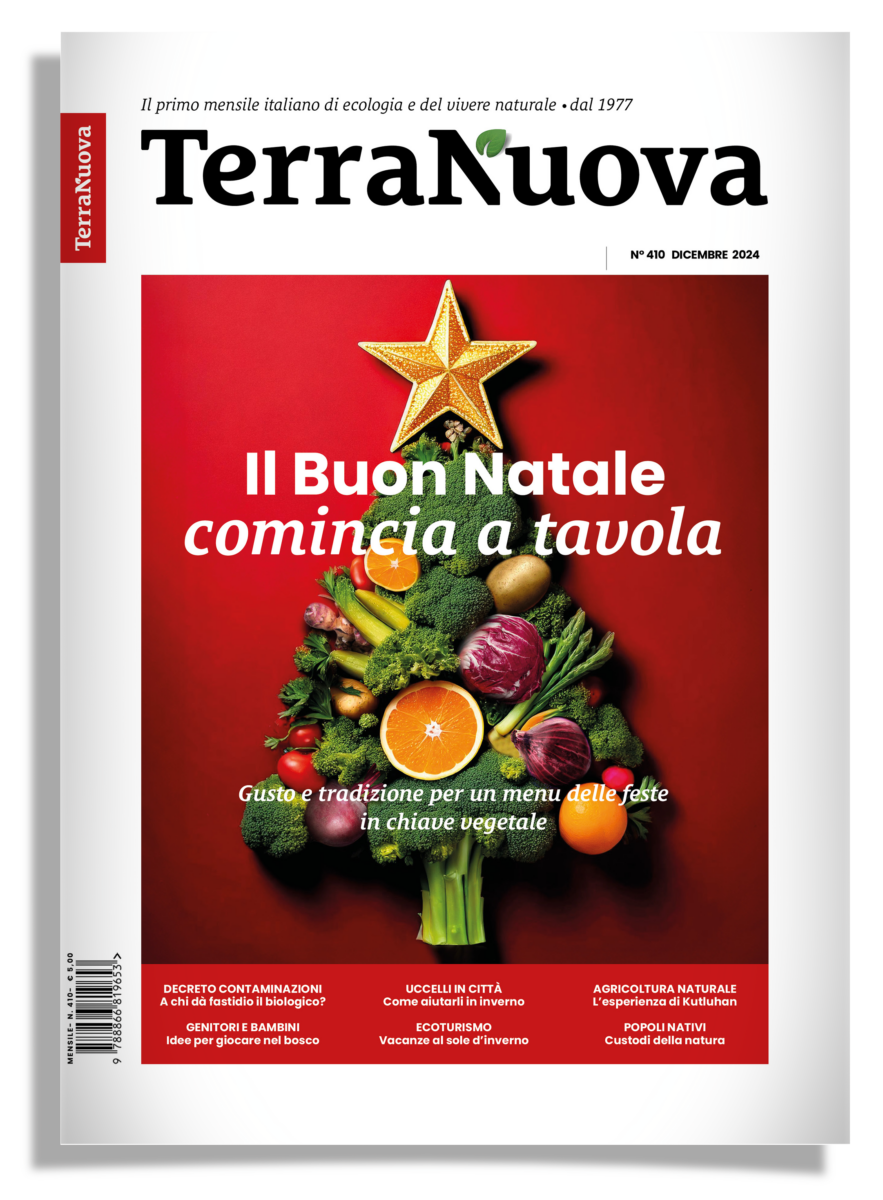 Leggi il numero di dicembre della rivista Terra Nuova