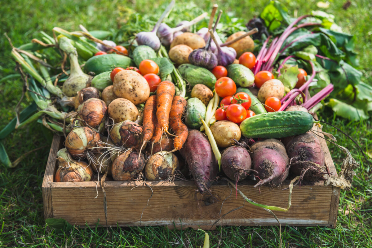 Alimentazione bio, come imparare a nutrirsi meglio