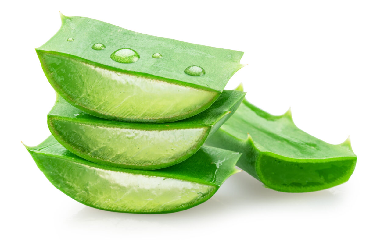 Le tante propriet&agrave; dell’aloe
