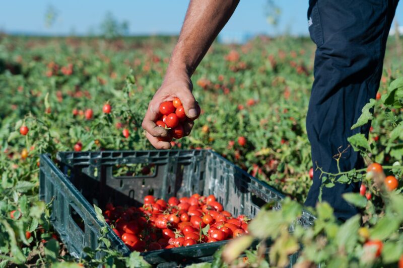 agricoltura bio