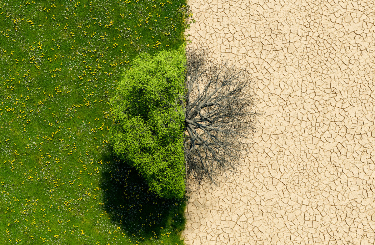 Anche in Italia cause climatiche? Fissata l’udienza che lo decider&agrave;