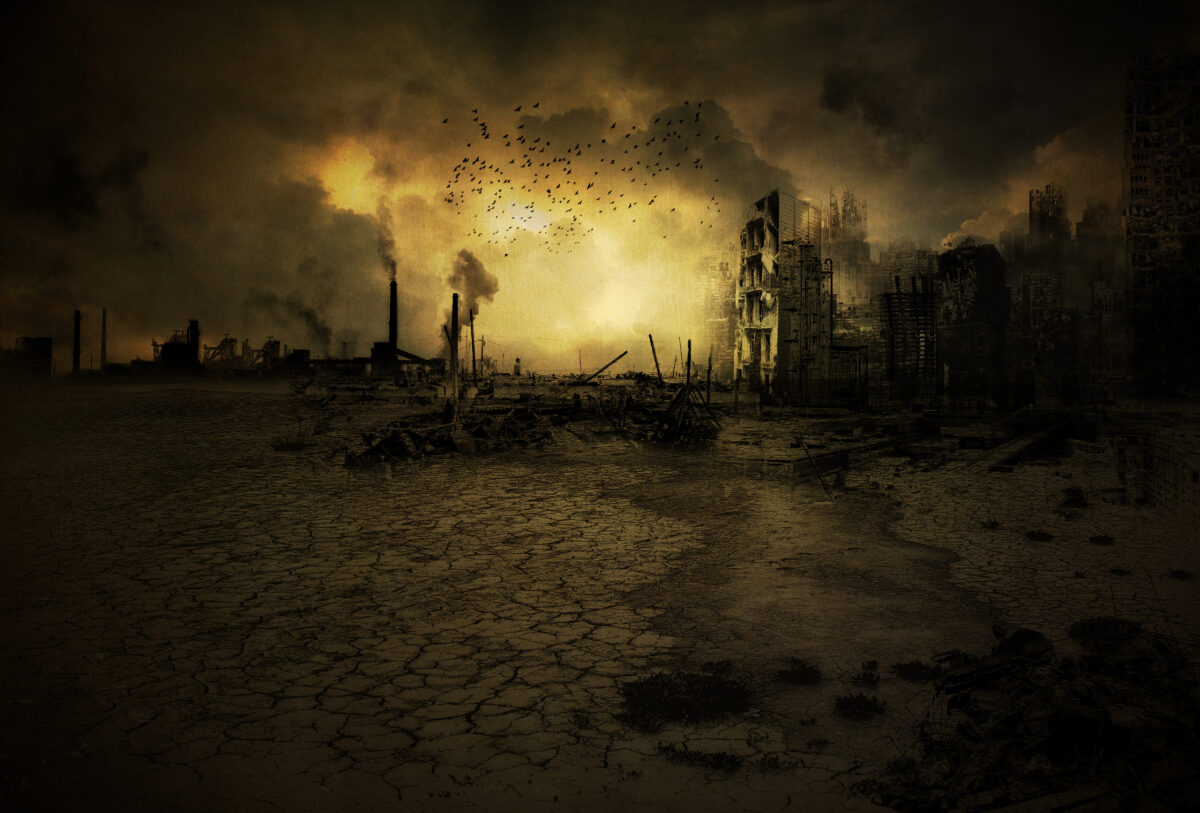 Le guerre uccidono anche l&rsquo;ambiente