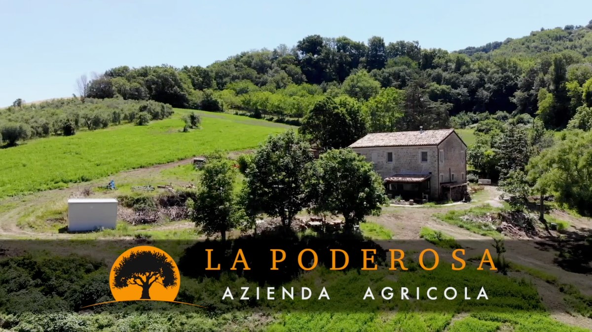 La Poderosa: azienda agricola all&rsquo;insegna della biocanapa