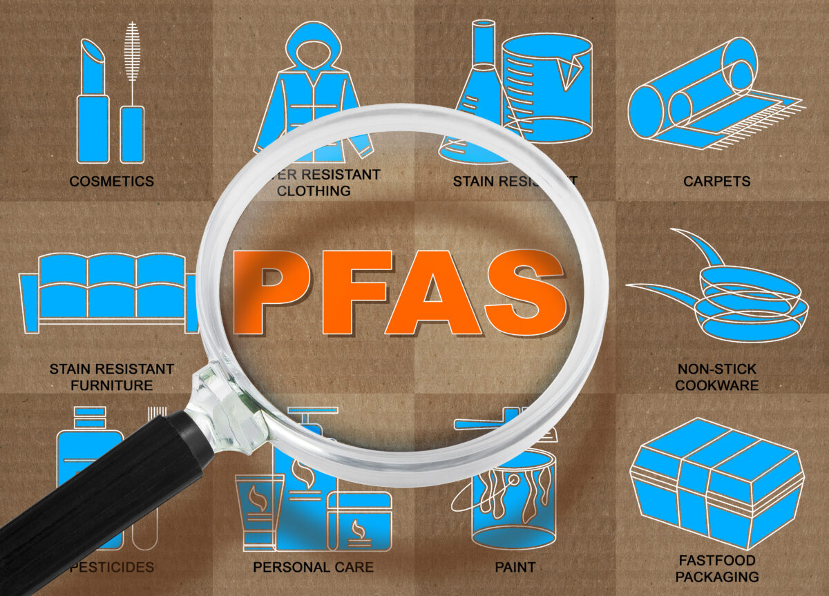 Pfas nelle catene alimentari: lo studio su Nature Communications