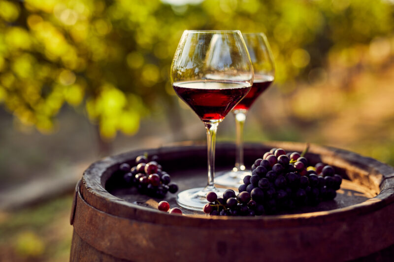 Tutti i meriti del vino (bio)