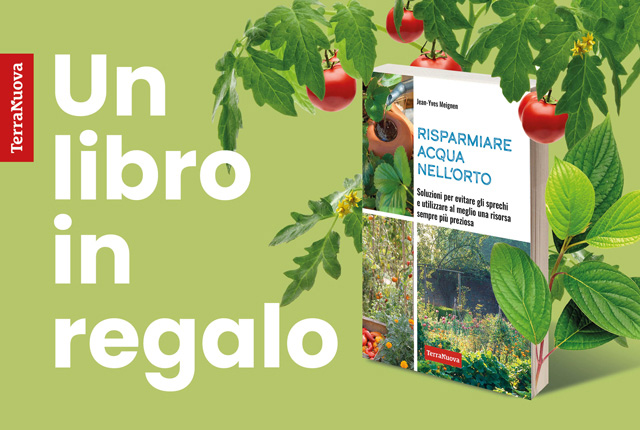 In regalo per te "Risparmiare acqua nell'orto"