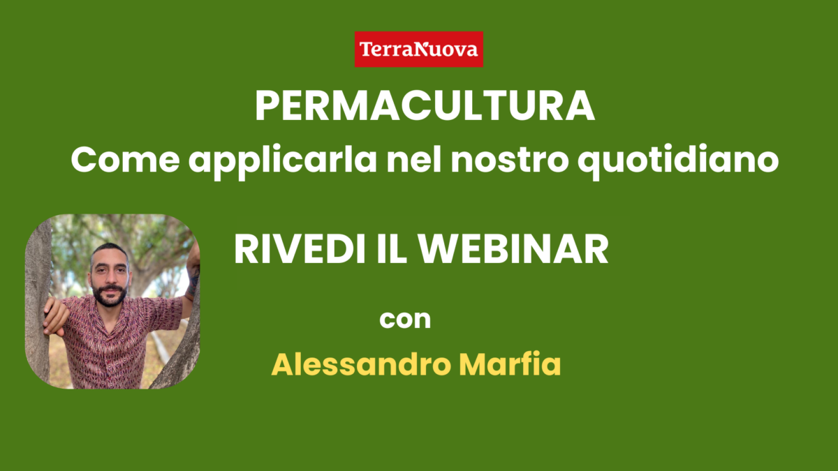 Permacultura, come applicarla nel nostro quotidiano: rivedi qui il webinar