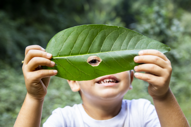 Spiccare il volo: natura ed educazione i punti chiave