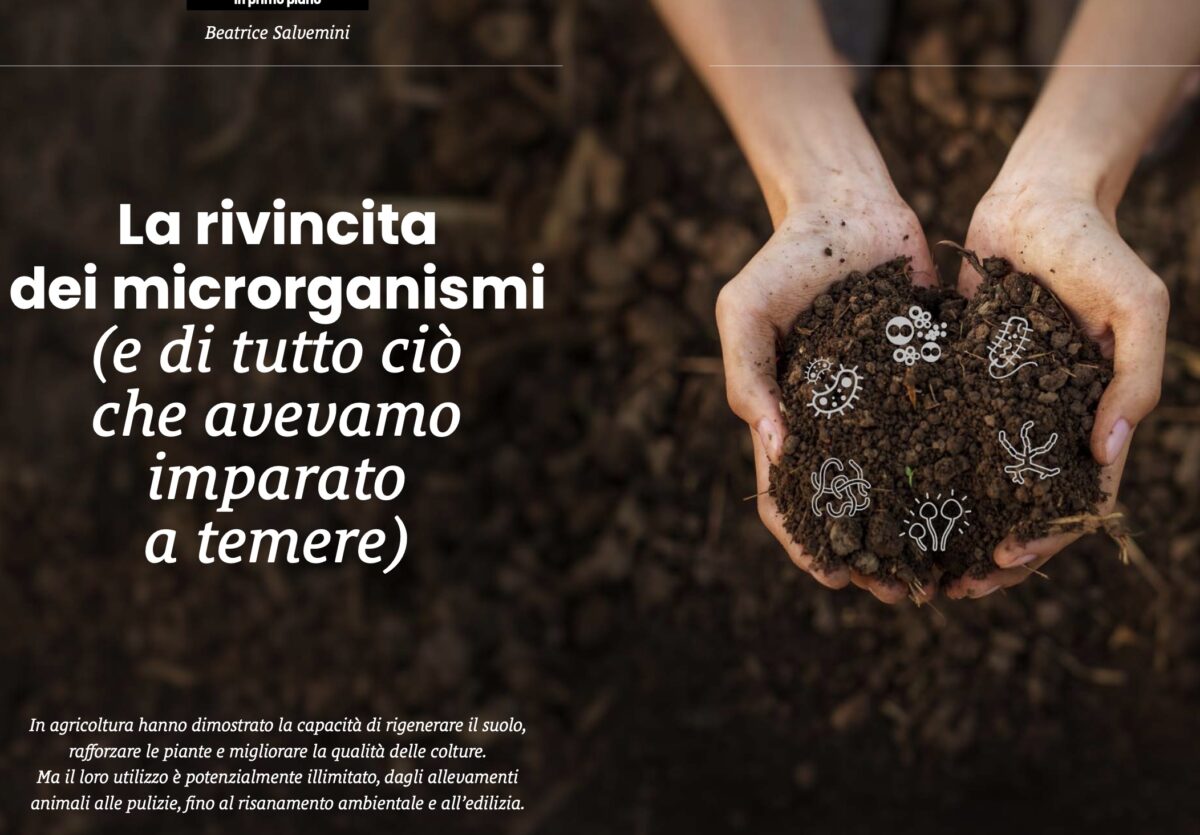 La rivincita dei microrganismi (e di tutto ci&ograve; che avevamo imparato a temere)