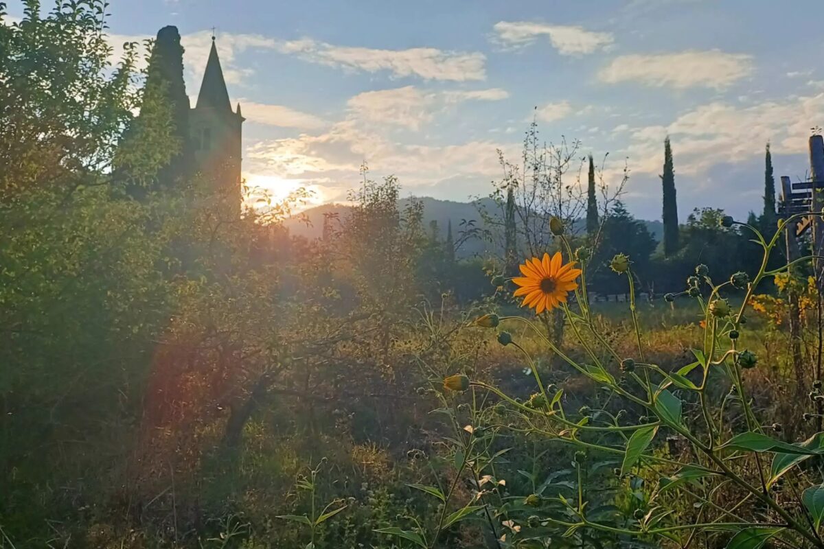 Passi di Quiete 2025: cammini tra natura, comunit&agrave; e consapevolezza